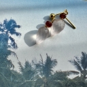 IMG_3490.jpeg