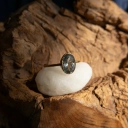 KK_260903_67851.jpg