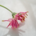 KK_230915_34285.jpg